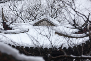 白雪屋面