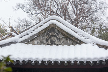 白雪屋面