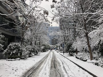 雪景