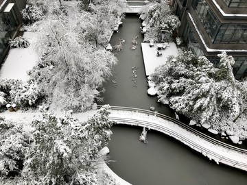 雪景