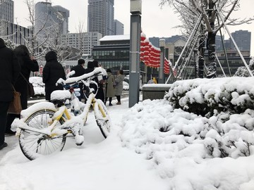 雪景