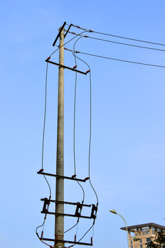 水泥电杆 电线杆