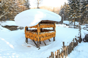 黑龙江雪乡 中国雪乡 雪房子