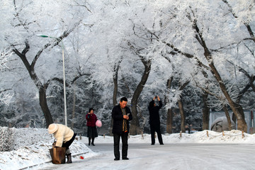 雪淞