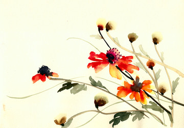 紅色小花