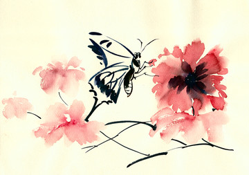 紅花蝴蝶