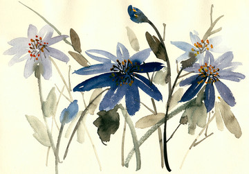 藍(lán)色花卉