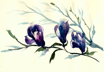 玉蘭花
