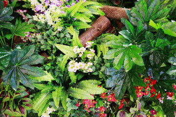 花墙 绿植墙 绿植 鲜花 墙面