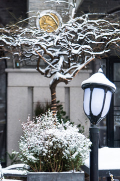 南京大雪中的1912街区