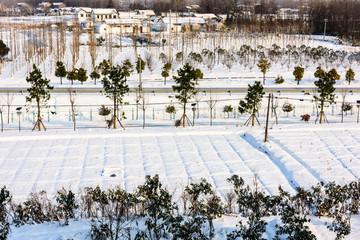 乡村雪景