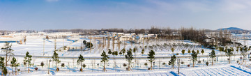 乡村雪景