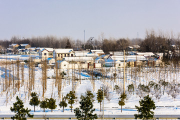 乡村雪景