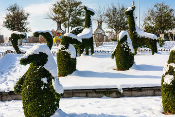 园林雪景