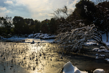 园林雪景