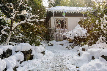 园林雪景