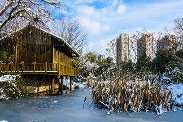 园林雪景