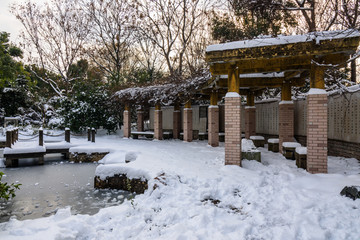 园林雪景