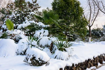 园林雪景