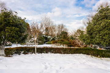 园林雪景