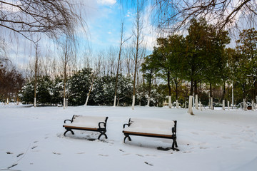 园林雪景