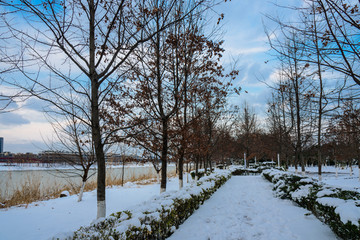 滨江雪景