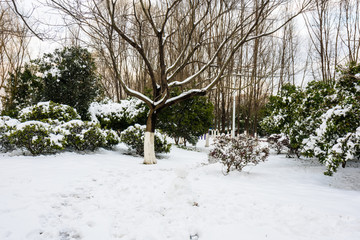 园林雪景