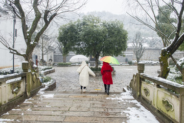 雪天游园