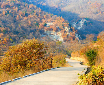 山村小路