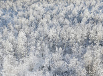 雪域雾凇