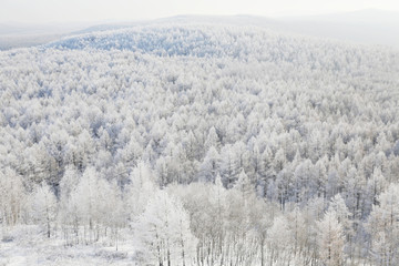 雪域雾凇