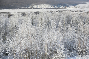 雪域雾凇