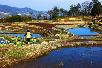 元阳梯田