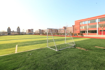 足球場 操場 草坪