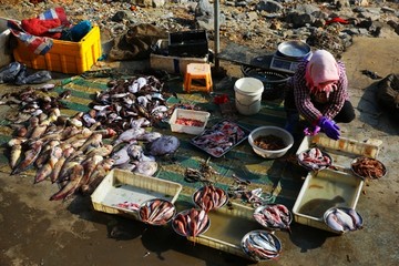 冬日大连旅顺海鲜市场