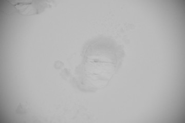 雪 雪景 白雪上的脚印 雪地上