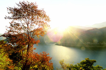 秋天的树林 山峦湖光