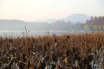 冬日西湖