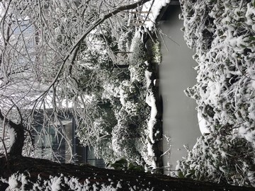 雪景