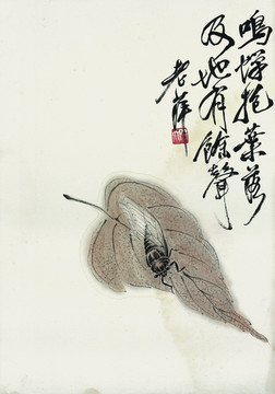 齊白石 花卉草蟲國畫