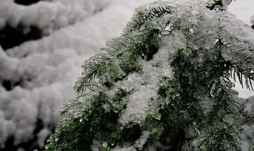 冰雪