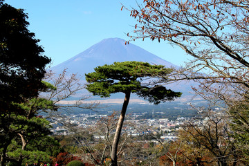 富士山