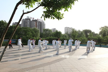 晨练 太极拳 老年人