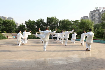 晨练 太极拳 老年人