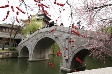 拱桥 桃花 台儿庄古城