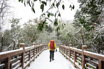 南京紫金山雪景