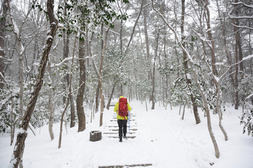 南京紫金山雪景