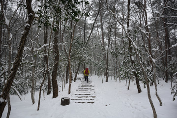 南京紫金山雪景