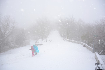 南京紫金山雪景