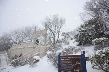 南京紫金山雪景